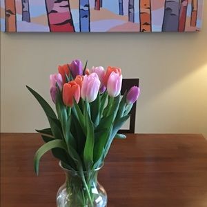 Meet your Posher, Fran